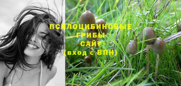 герыч Балахна