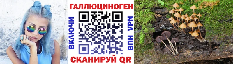Псилоцибиновые грибы Magic Shrooms закладки Городище
